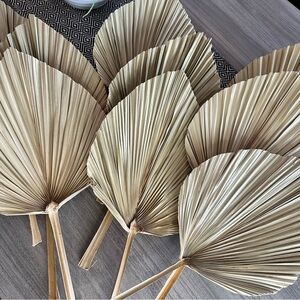 GHY Decor Tropical Naturally Dried Palm Leaves Arrangement of 9 Leaves